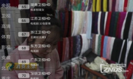 可以遥控的91直播,一键遥控，畅享无限精彩